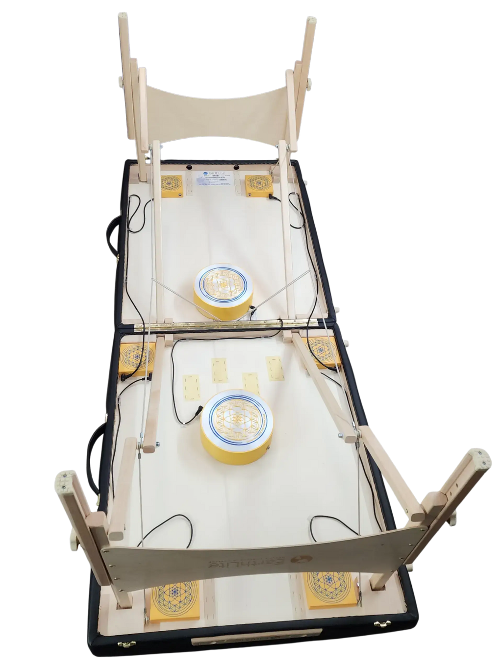 Vibroacoustic Therapy Bed – EarthLite Harmony DX Sound Healing System